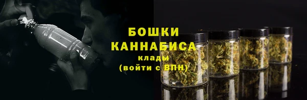 шишки Магадан