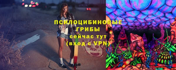шишки Магадан