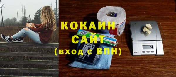 шишки Магадан