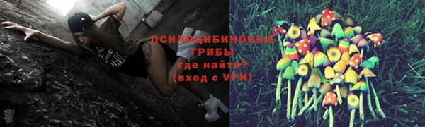 шишки Магадан