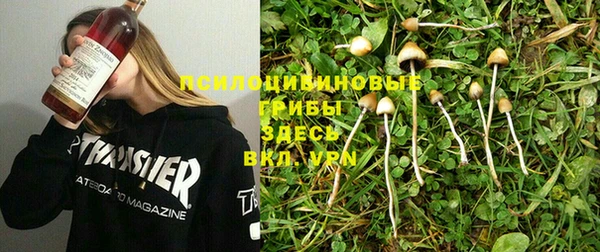 шишки Магадан